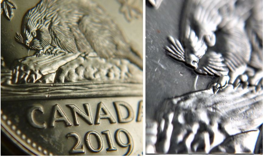 5 Cents 2019-Coin entrechoqué a la bouche du castor.JPG