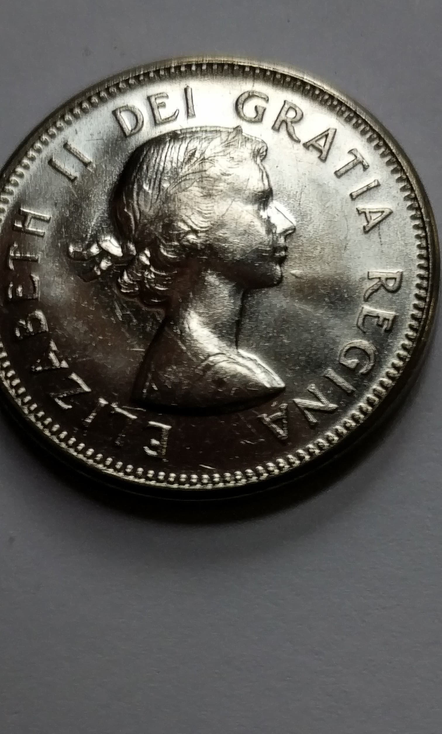 1964 1.jpg