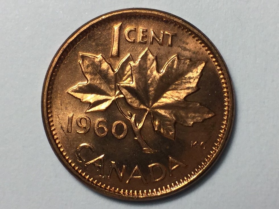 CAN 4.jpg
