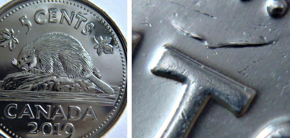 5 Cents 2019-Un oiseau en vol au dessus du T de Cents-1.JPG