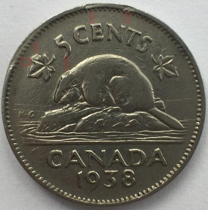Castor une seule oreille 5 cents 1939 vue d'ensemble.jpg