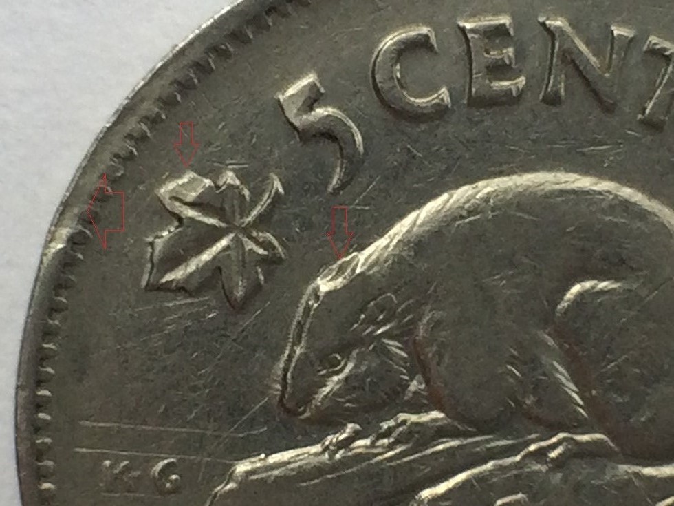 Castor une seule oreille 5 cents 1939 vue de près (2).jpg
