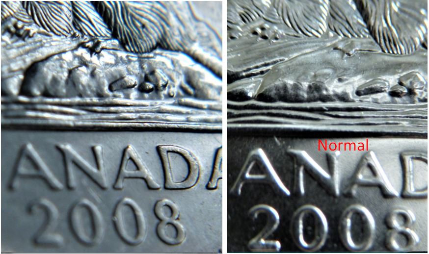 5 Cents 2008-Surplus de poils sous ventre-Accumulation-de poils-1.JPG