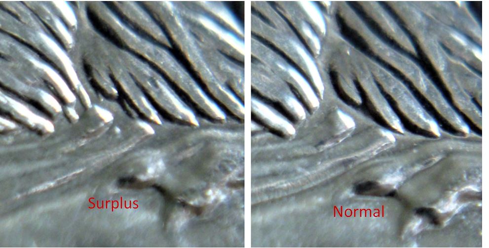 5 Cents 2008-Surplus de poils sous ventre-Accumulation-de poils-2.JPG