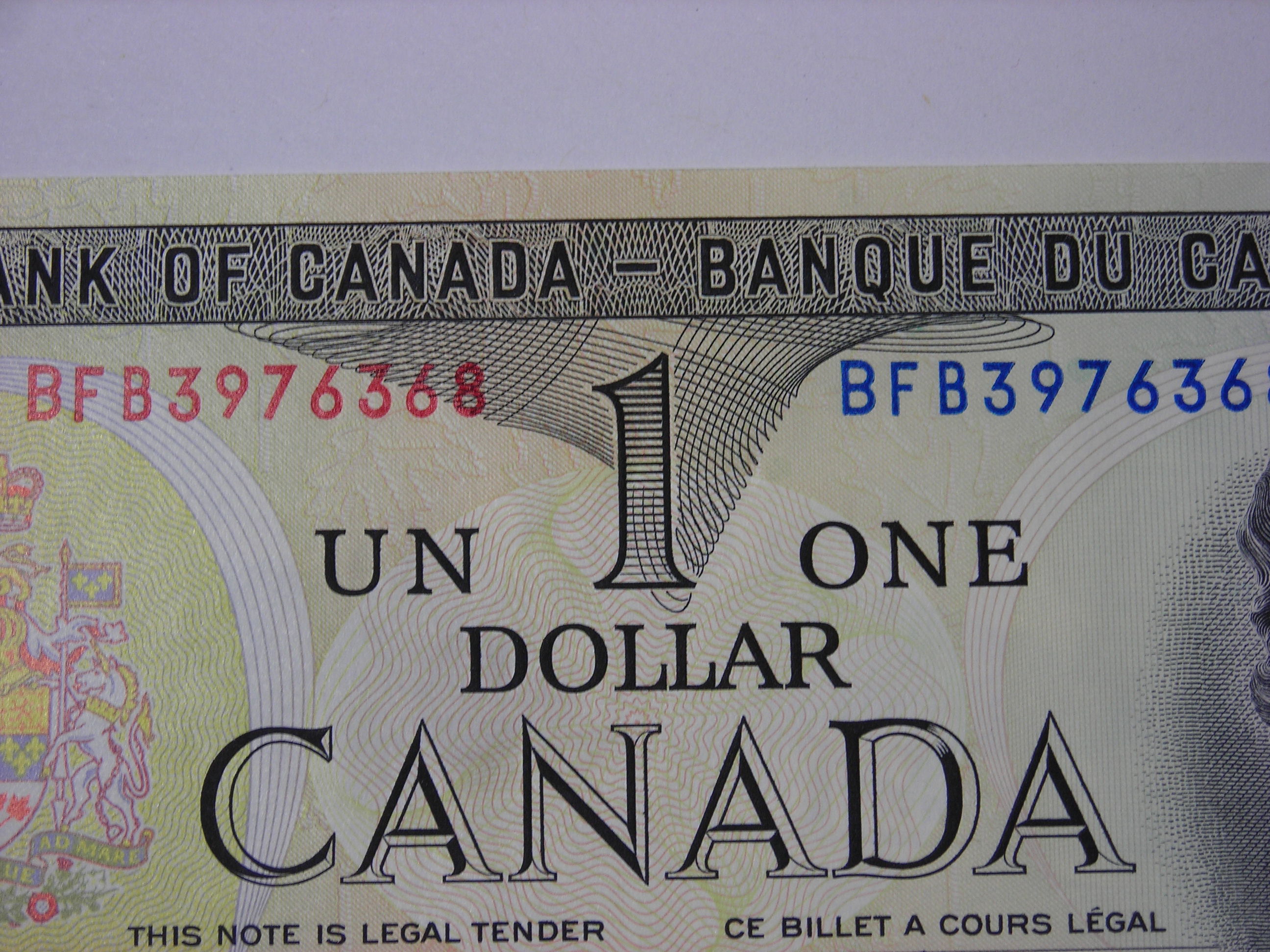 DSCN7395.JPG