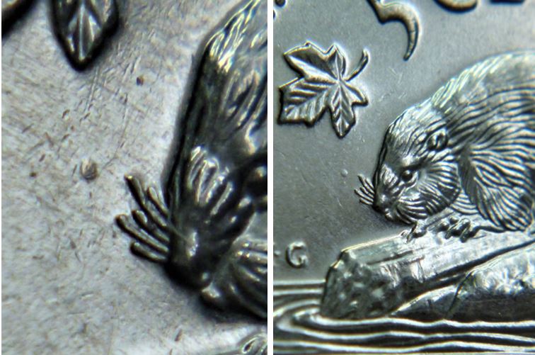 5 Cents 2008-Point devant la moustache du castor-2.JPG