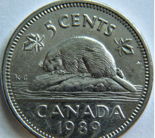5 Cents 1989-Coin fendillé-Le NT attaché-et au bout de la queue du castor-1.JPG