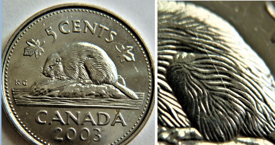 5 Cents 2003-Coin fendillé sur la cuisse du castor-1.JPG