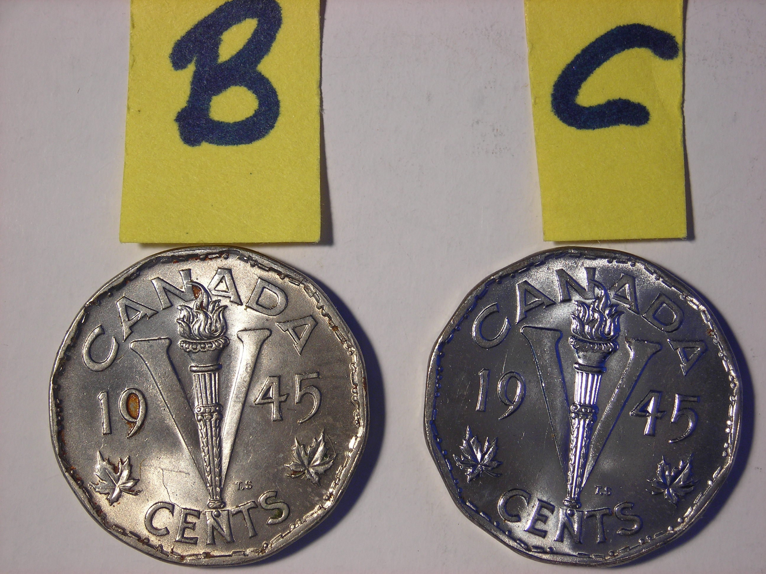 DSCN7434.JPG