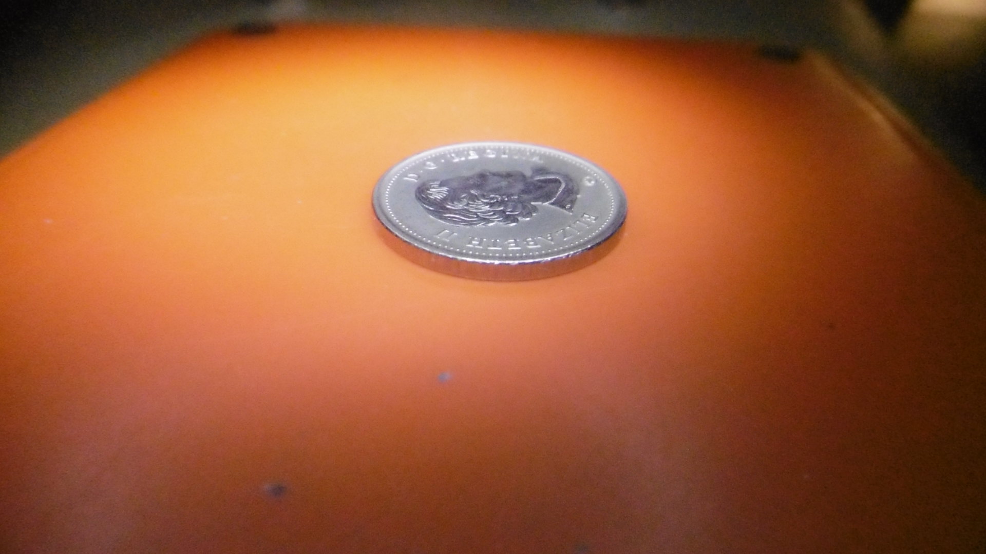 P1000871.JPG