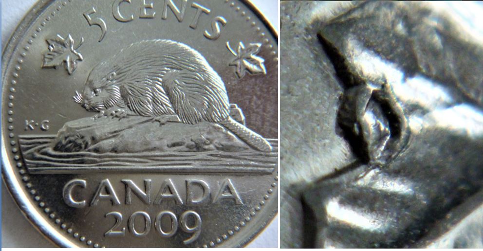 5 Cents 2009-Éclat du coin dans le lobes de la feuille-1.JPG