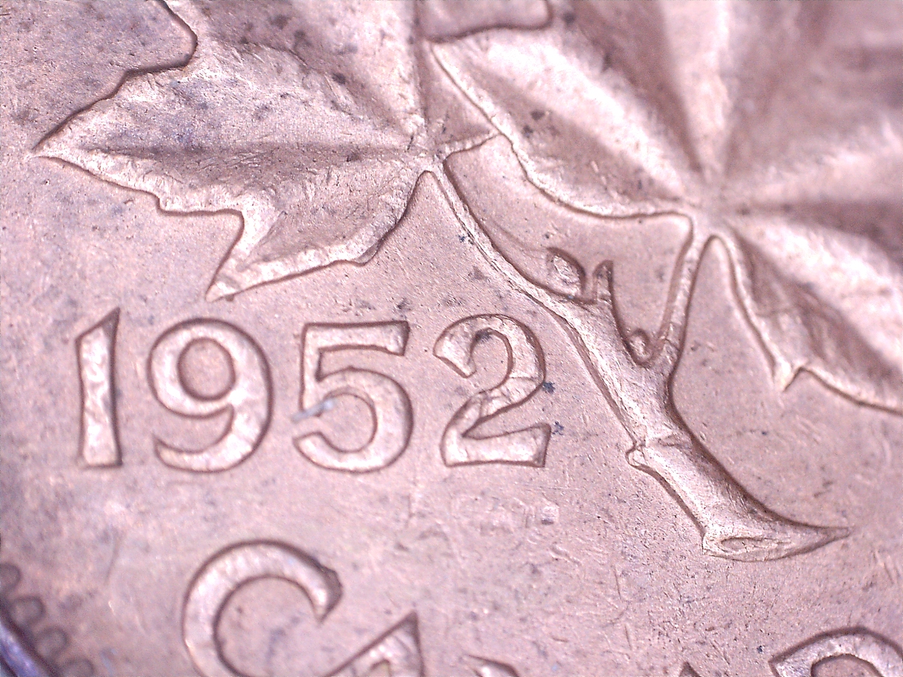 1952 double ce 5.jpg