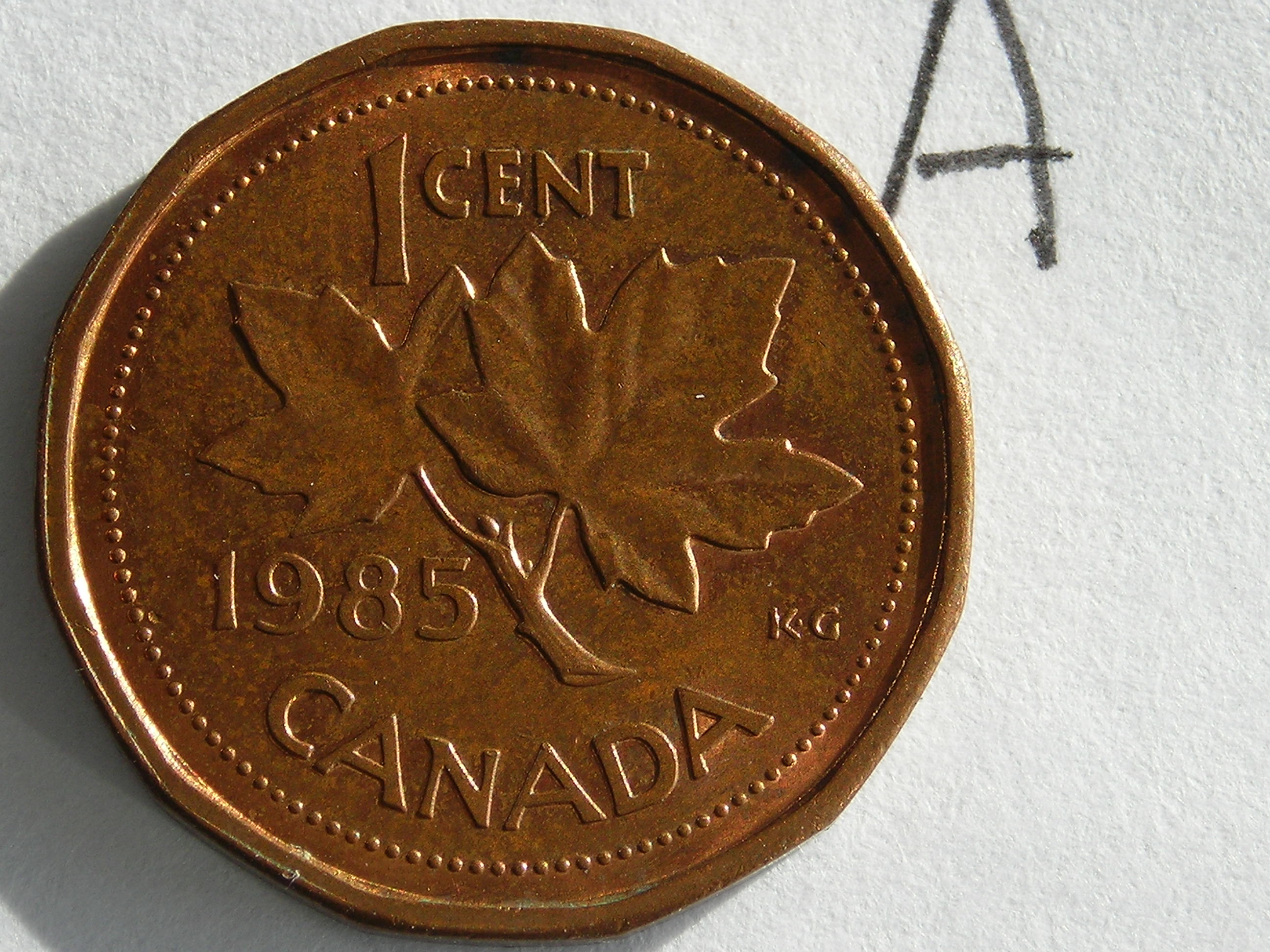 DSCN7436.JPG