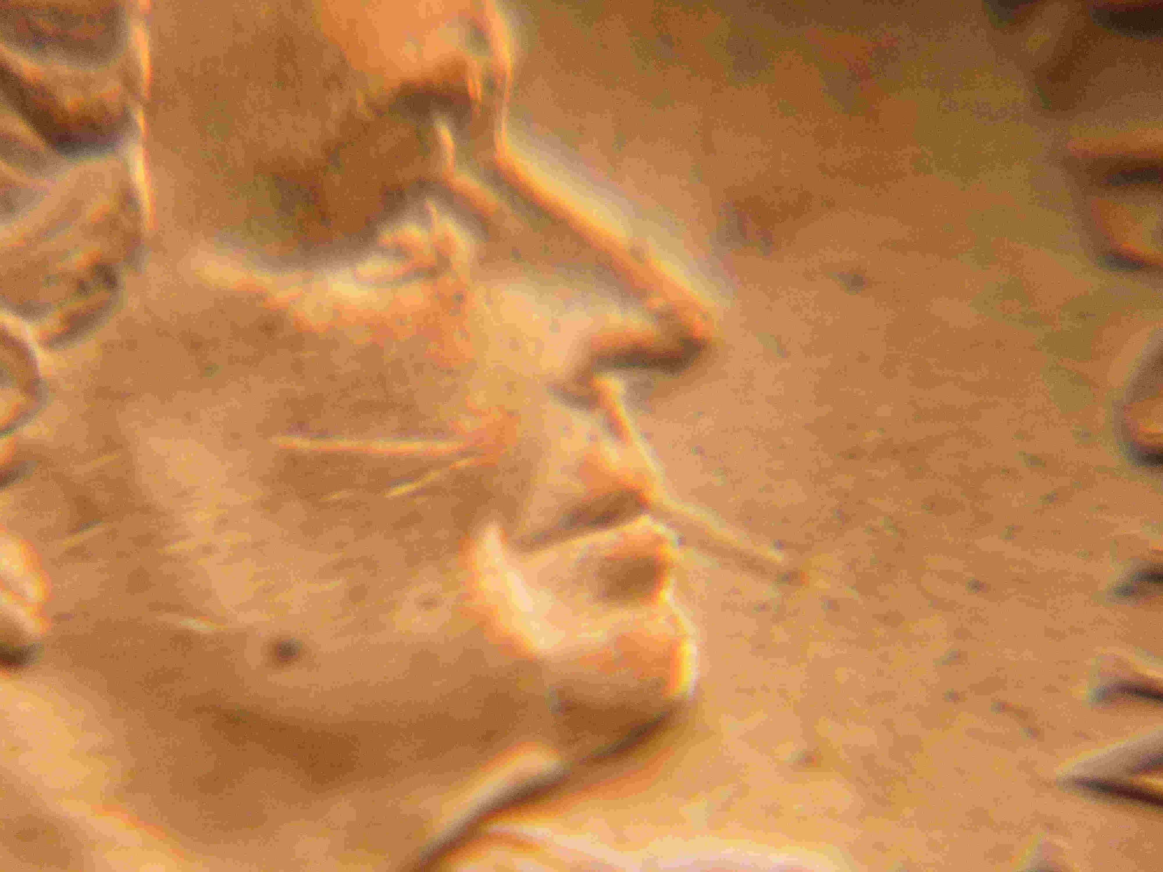 2004_a.JPG