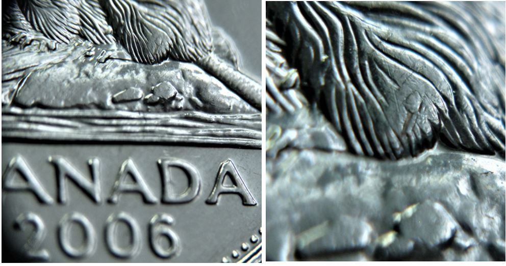 5 Cents 2006 -Défaut patte arrière-1.JPG