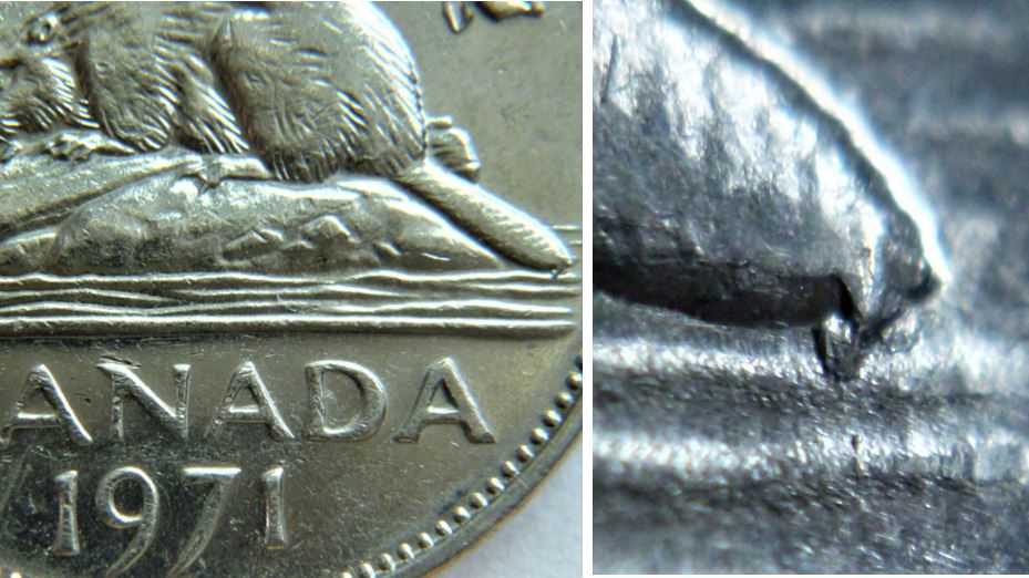 5 Cents 1971-Éclat coin sous la queue du castor.2.JPG