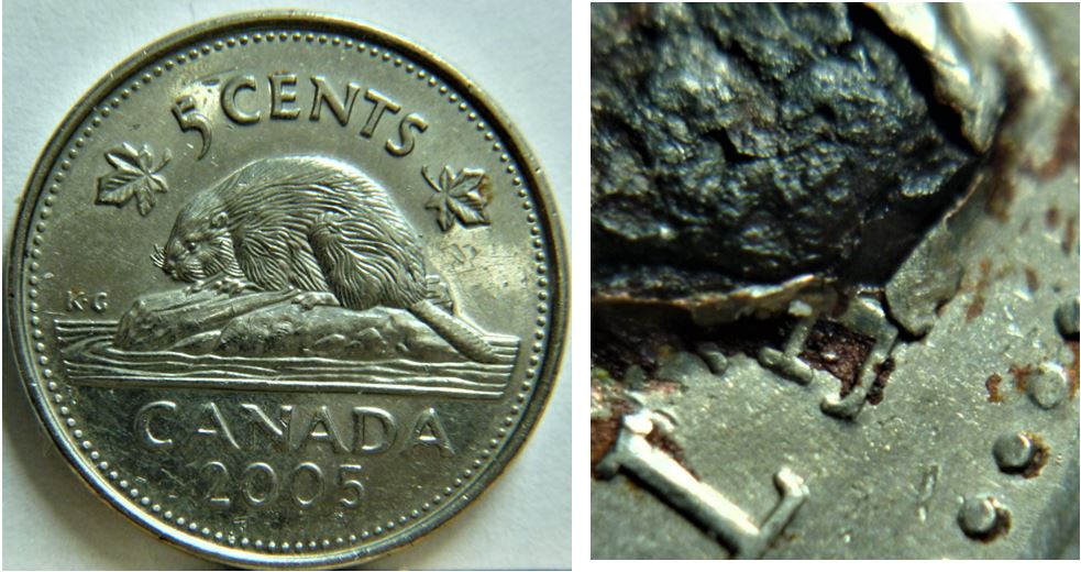 5 Cents 2005- Énorme raisin chèssé est sorti coté avers-1.JPG