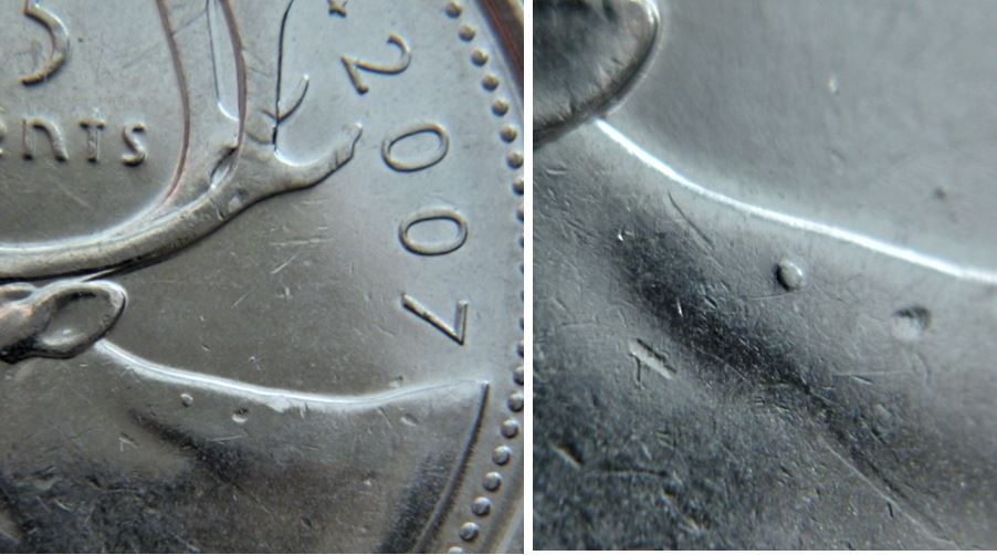 25 Cents 2007-Point sur le cou du caribou-1.JPG