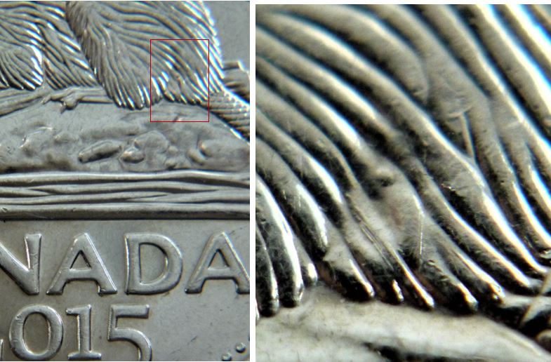 5 Cents 2015-Éclat coin-petit point bien caché dans la fourrure.JPG