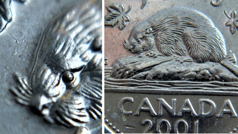5 Cents 2001-Double castor-1.JPG