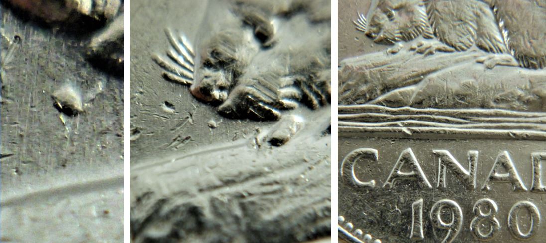 5 Cents 1980-Point sous le nez du castor.JPG