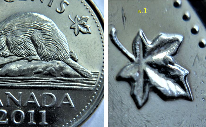 5 Cents 2011-Éclat coin sur feuille droite-1.JPG