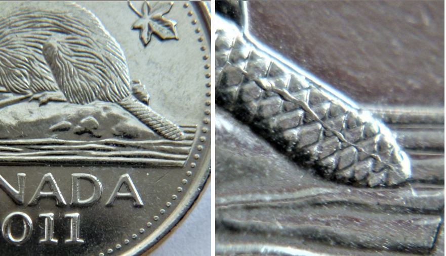 5 Cents 2011-Coin fendillé sur la queue du castor.1.JPG
