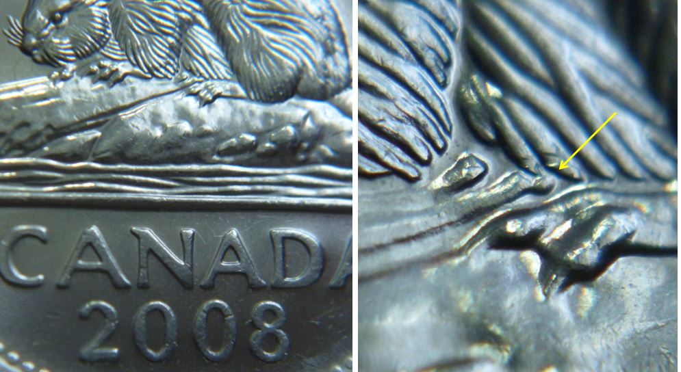 5 Cents 2008-Point sous abdomen du castor-1.JPG