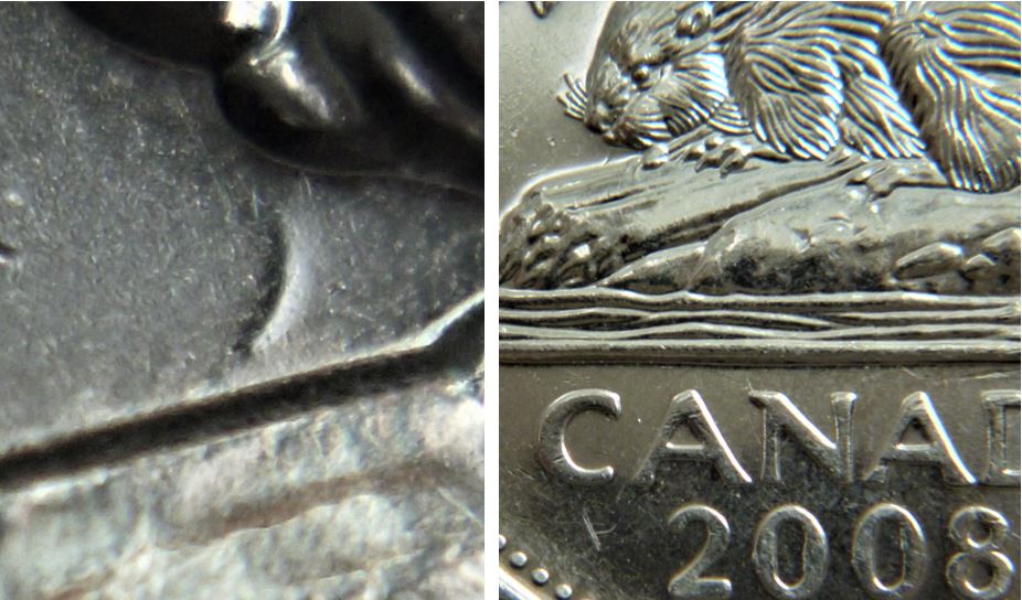 5 Cents 2008-Dommage du coin devant la bouche du castor-1.JPG