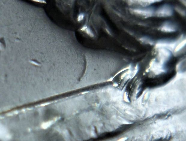 5 Cents 2008-Dommage du coin devant le nez du castor-2.JPG