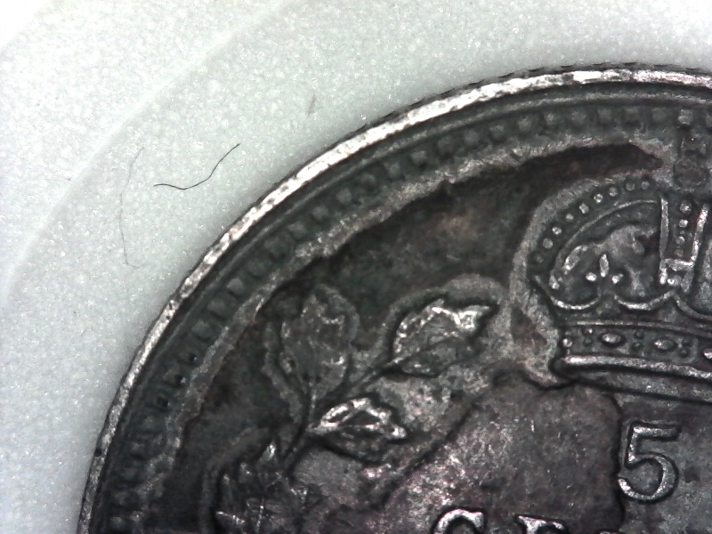 S20210216_0009 (800x600).jpg