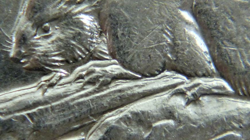 5 Cents 1962-De la vase sur les patte avent du castor-Double revers-2.JPG