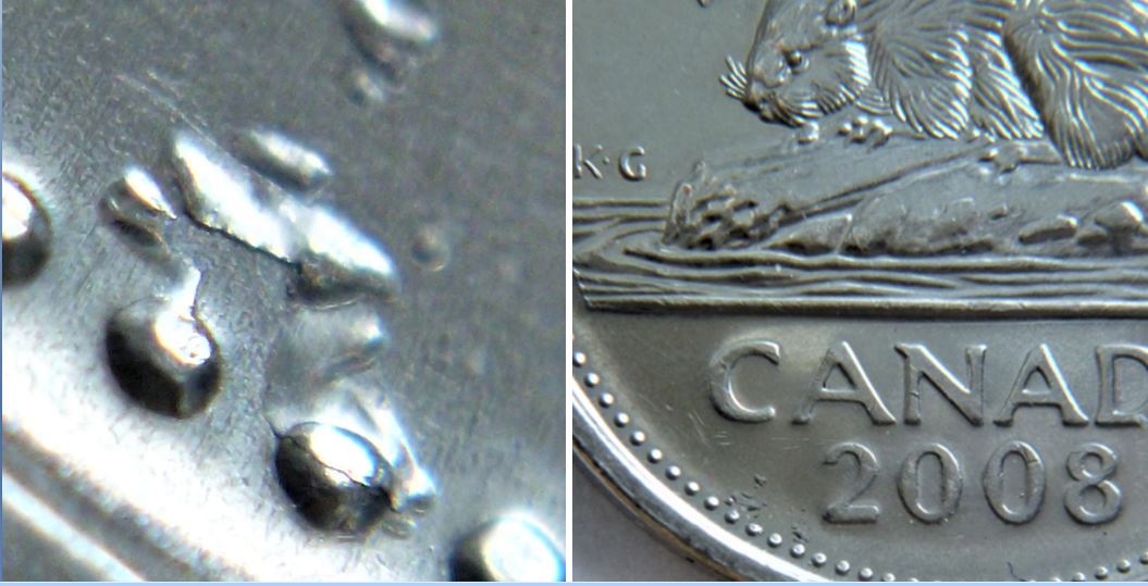 5 Cents 2008-Limase bien collé sous 2 -Éclat coin sous abdomen-1.JPG