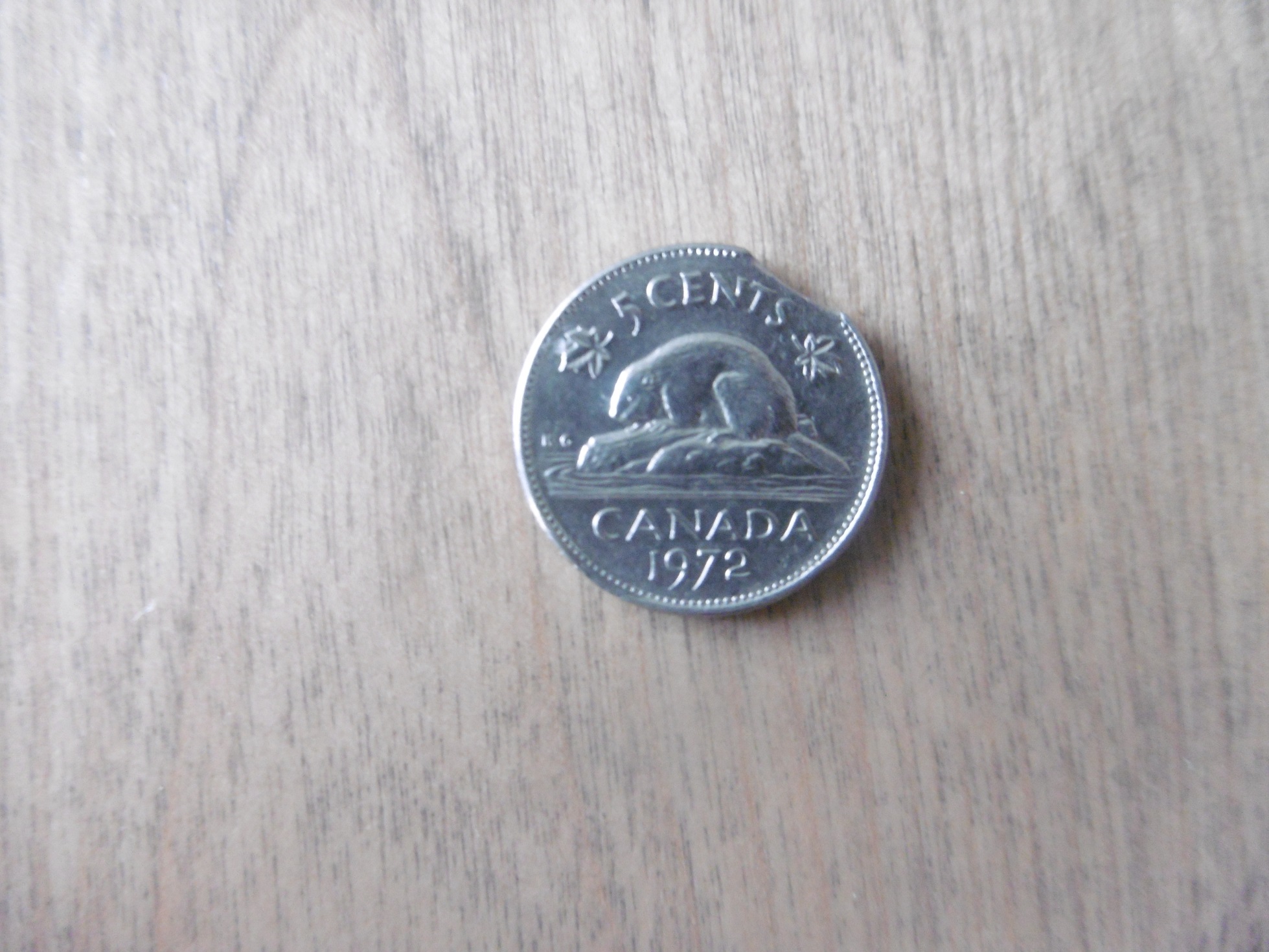 P1000201.JPG