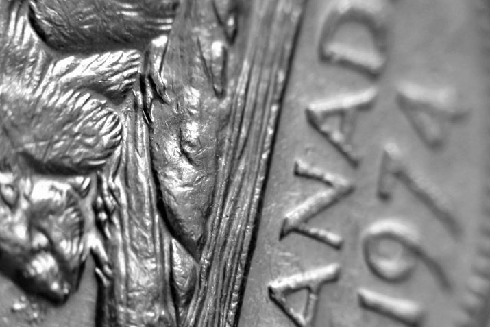 5 Cents 1974-Dommage du coin-Épine de planté dans la buche sous abdomen-2.JPG