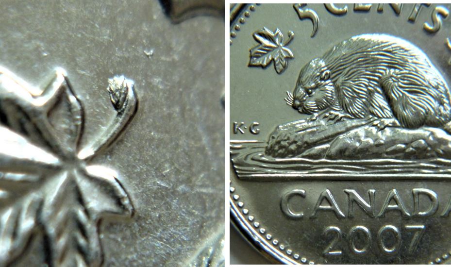 5 Cents 2007-Éclat coin a la tige de la feuille gauche,1.JPG