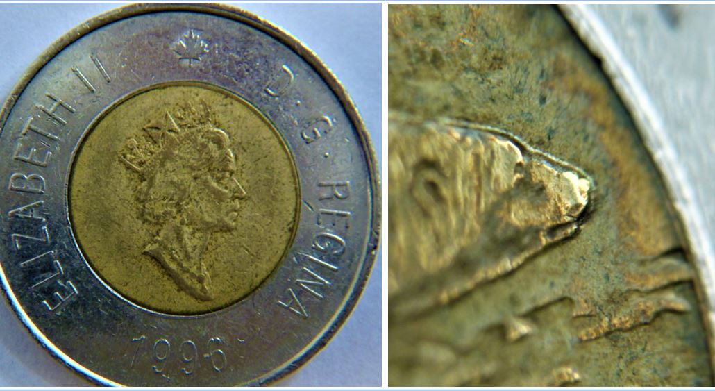 2 Dollar 1996-Double tête de l'ours-1.JPG