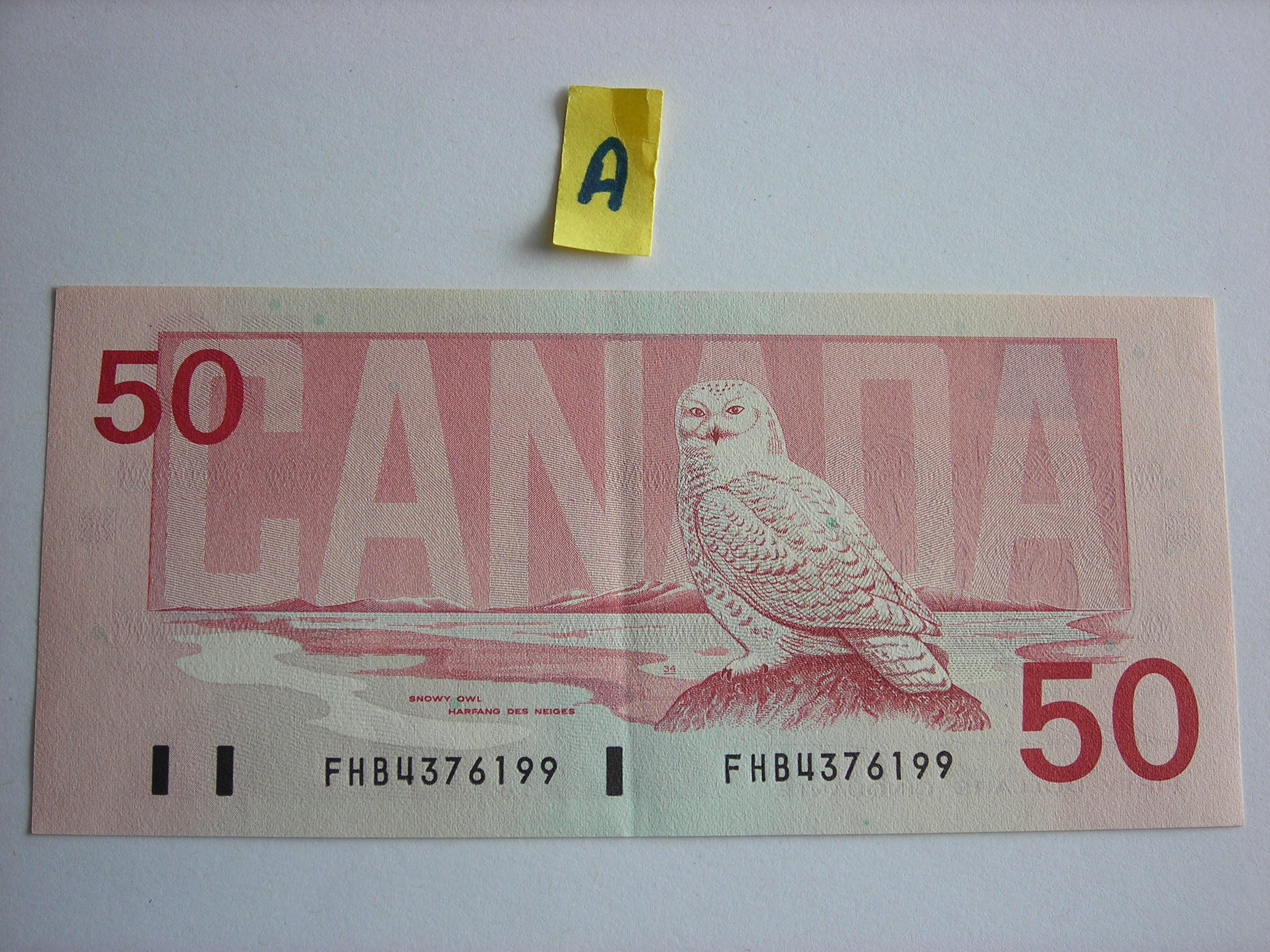 DSCN7829.JPG