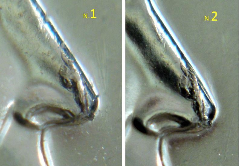 10 Cents 2016-Éclat coin sur le nez,2.JPG