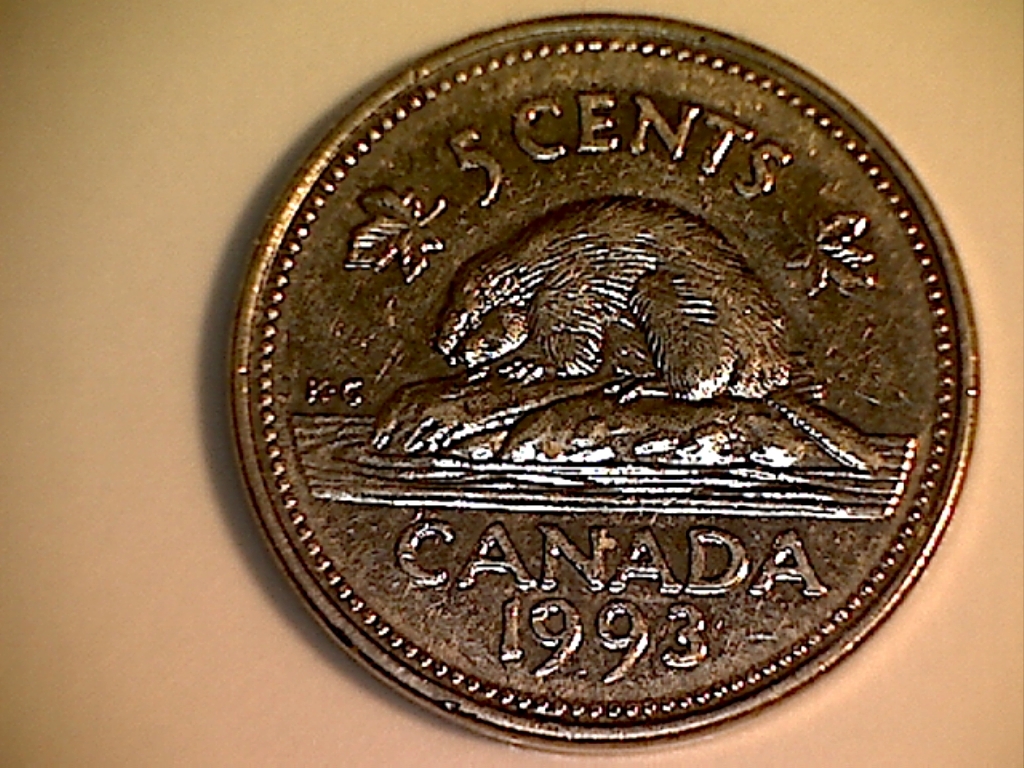 1993 B521009B Pts. sous R de REG. ,sous E et B d'Éliz. et sous le menton  Revers.jpg