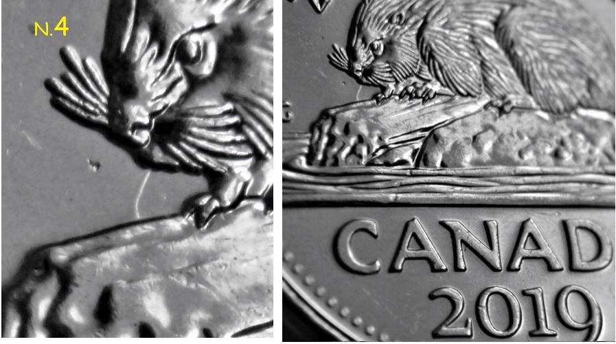 5 Cents 2019-Coin entrechoqué a la bouche du castor.2.JPG