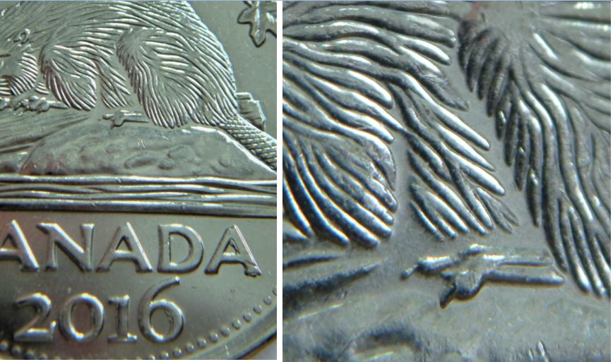 5 Cents 2016-Éclat du coin  dans canadA+6 -Manque de fourure et point interrogation-1.JPG