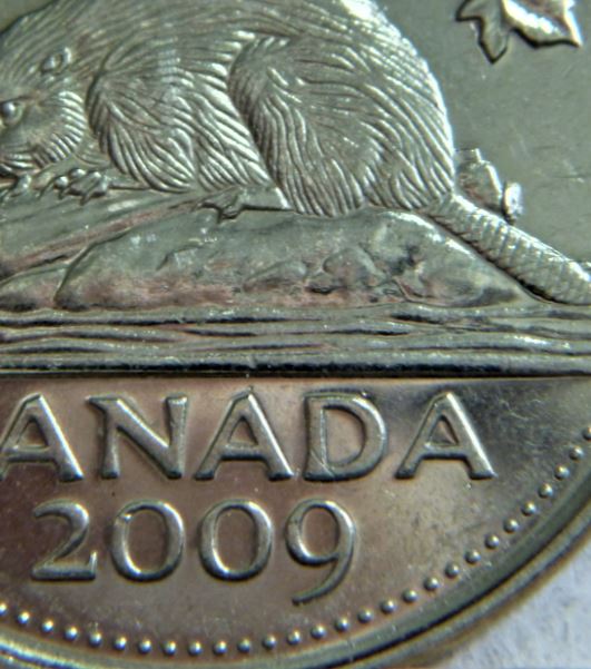 5 Cents 2009-Éclat coin au bout de la buche,2.JPG