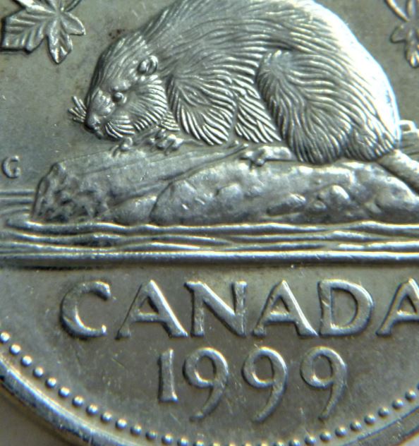 5 Cents 1999-Éclat coin au dessus de l'oeuil du castor+Point sous G de d.G-1.JPG