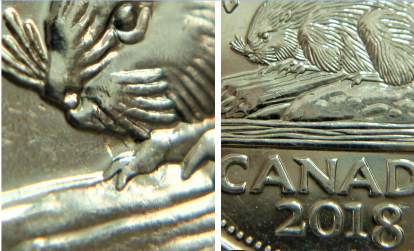 5 Cents 2018-Coin entrechoqué double nez du castor-1.JPG