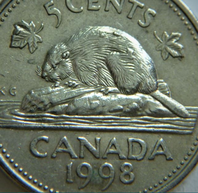 5 Cents 1998-Belle Accumulation au revers.1.JPG