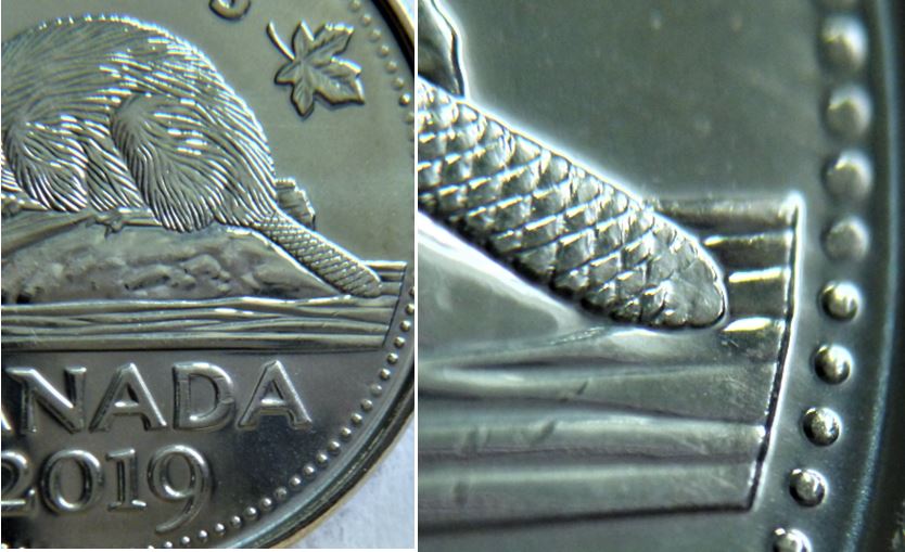 5 Cents 2019-Bout de la queue obturé-1.JPG
