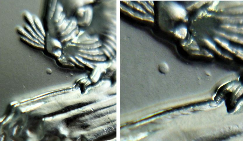 5 Cents 2019-Point devant le nez du castor-2.JPG