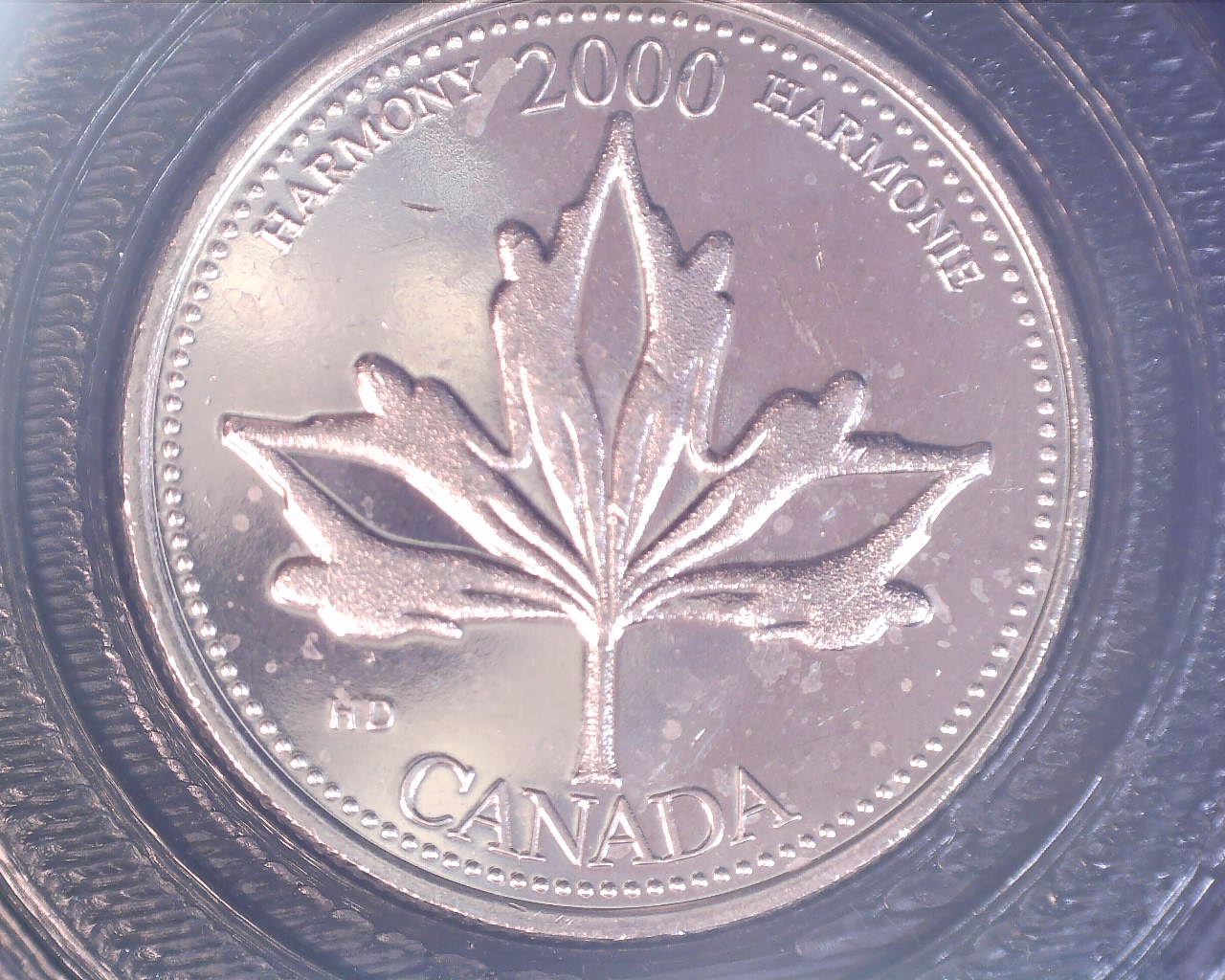 211004161706755.jpg