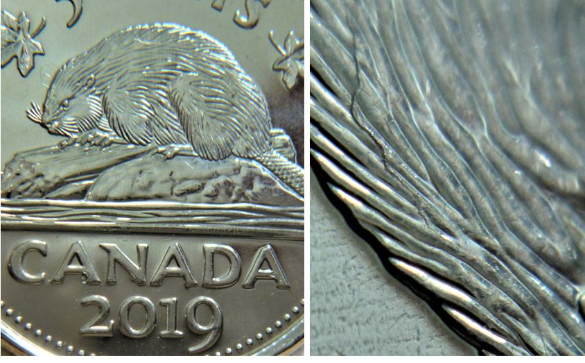5 Cents 2019-Coin fendillé sur dos du castor-1.JPG